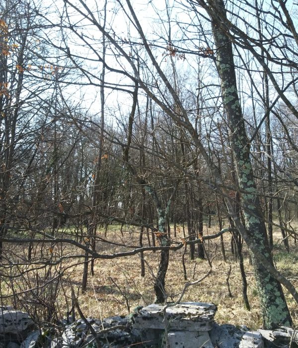 AC Bscale(2.0) Dscale(2.0) enhenced_level(13) isOutdoor(0) result(0) FM0 FC111111111:zzzzzz013 82 00 0 05f040045042c1040 c30 9b1f9 55 02a8127294 0 0 0 0 0 0 0 0294d1bfd1b8 06d 0283d1a8d16a 06a 0272d1dfd1a9 0 0 0261d1d1d184 06e 0250d1e7d187 069 023fd1f1d192 069 022ed1d5d190 069 021dd1d4d1b2 069 020cd1cbd1ce 06b 0221d18dd1a1 06b 0236d1d4d1e4 06b 024bd1e4d1f5 06b 0271d1f8d202 06b 0277d200d20c 06c 027dd206d211 06d 0283d20ad217 06d 0289d1f0d20c 06d 027dd1dcd218 06d 027dd1e0d22e 06d 0